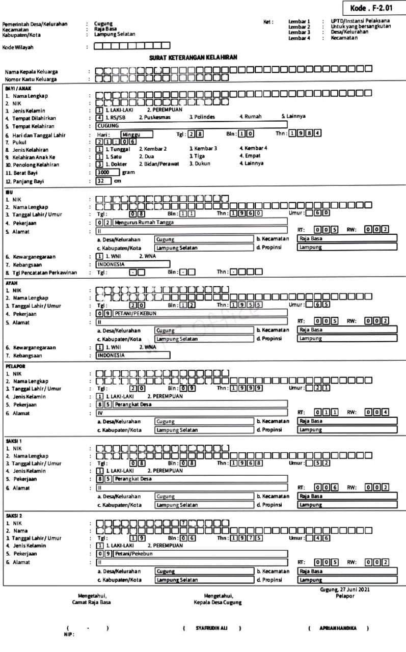 Detail Cara Mengisi Surat Keterangan Kelahiran Nomer 6