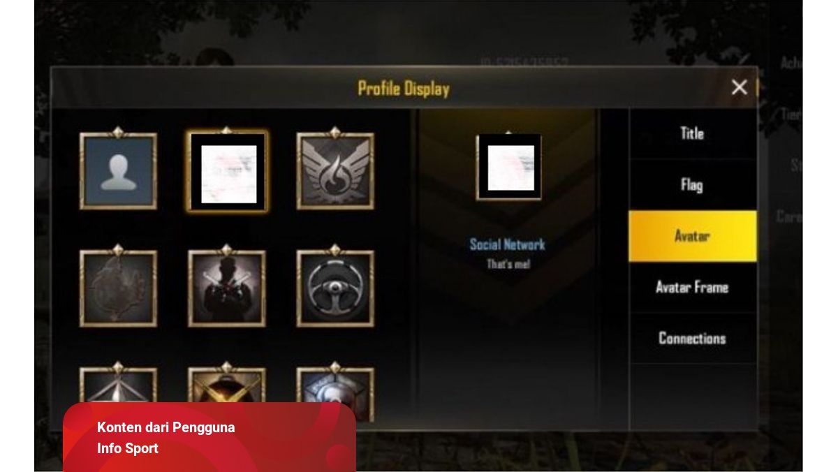 Detail Cara Mengubah Foto Profil Di Pubg Mobile Nomer 12