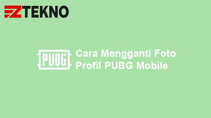 Detail Cara Mengubah Foto Profil Di Pubg Mobile Nomer 20