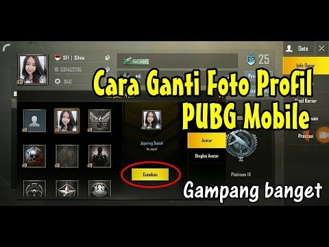 Detail Cara Mengubah Foto Profil Di Pubg Mobile Nomer 3