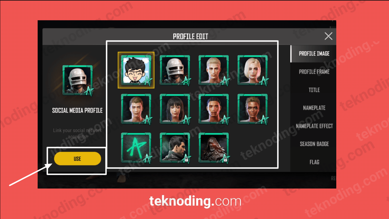 Detail Cara Mengubah Foto Profil Di Pubg Mobile Nomer 43