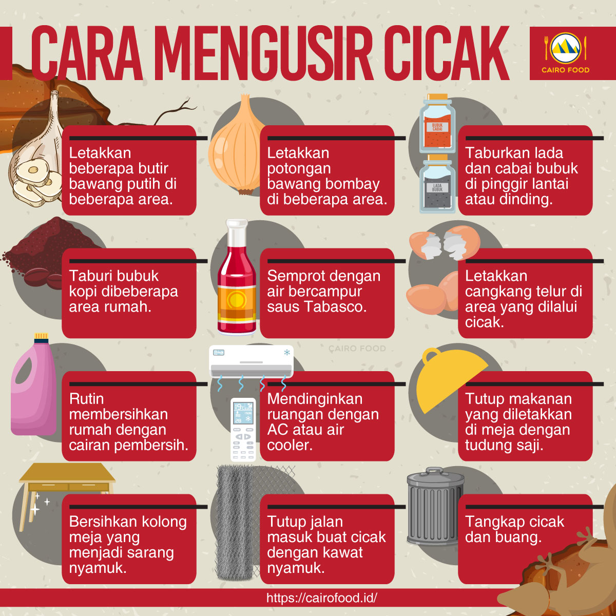 Detail Cara Mengusir Cicak Dari Rumah Nomer 5