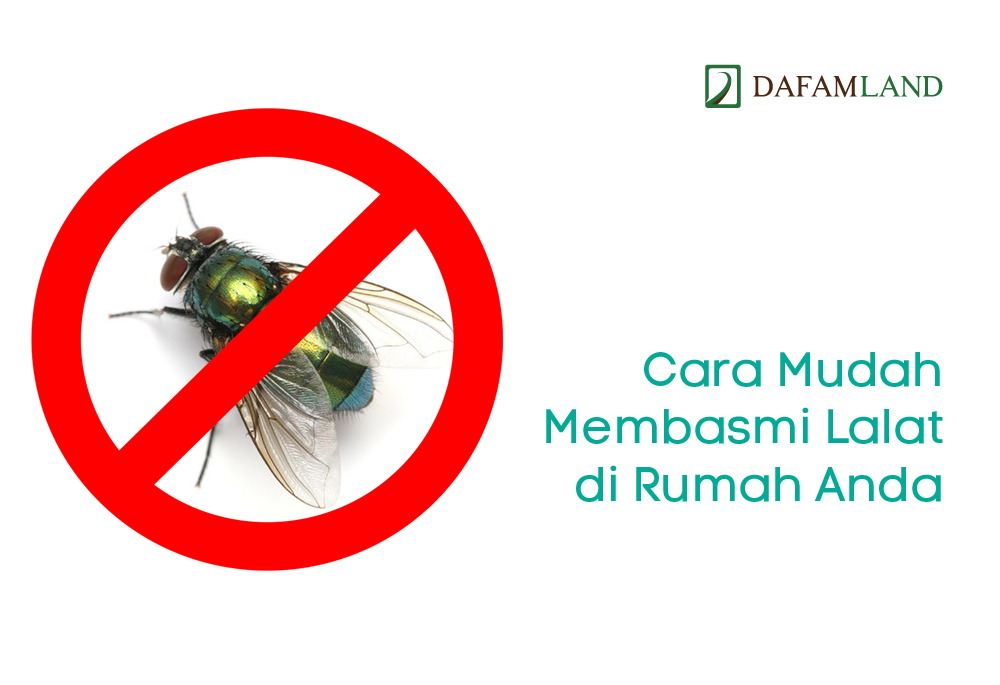 Detail Cara Mengusir Lalat Di Rumah Makan Nomer 10