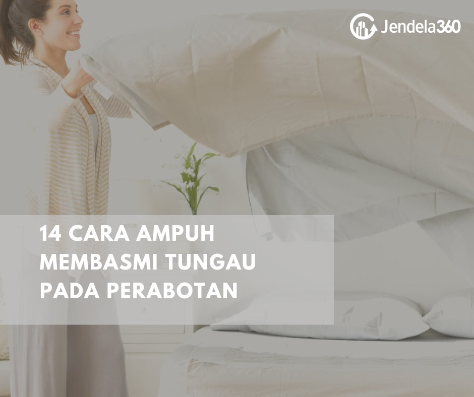 Detail Cara Mengusir Tungau Dari Rumah Nomer 9