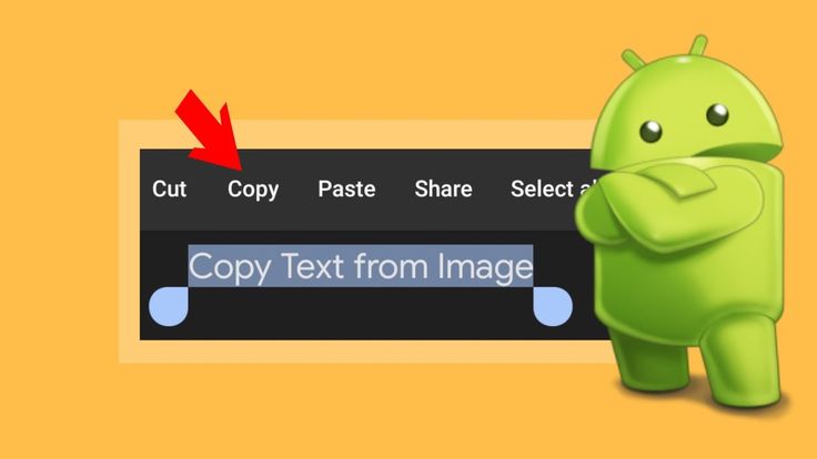 Detail Cara Menyalin Teks Di Foto Android Nomer 36