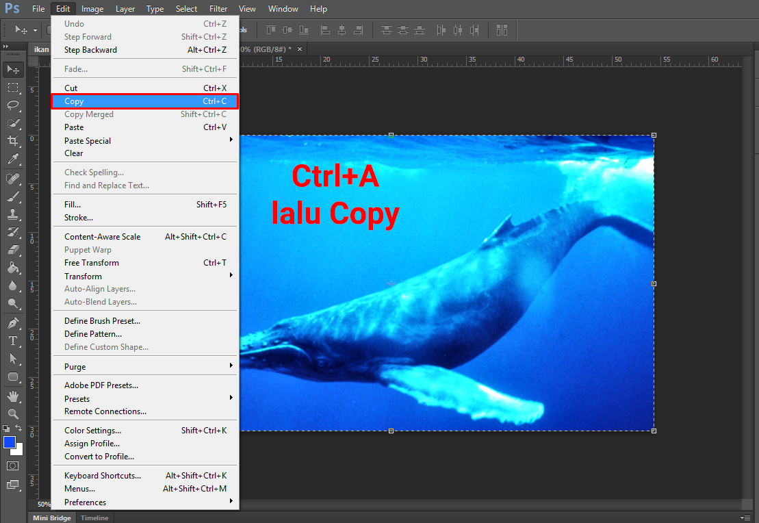 Detail Cara Menyatukan Gambar Dengan Background Di Photoshop Nomer 25