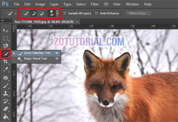 Detail Cara Menyeleksi Gambar Di Photoshop Nomer 5