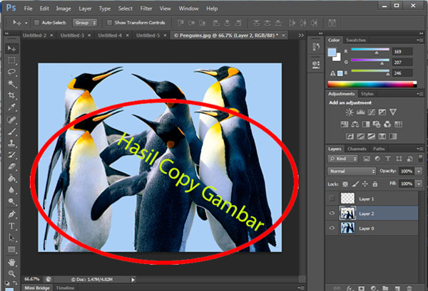 Detail Cara Menyeleksi Gambar Di Photoshop Nomer 41