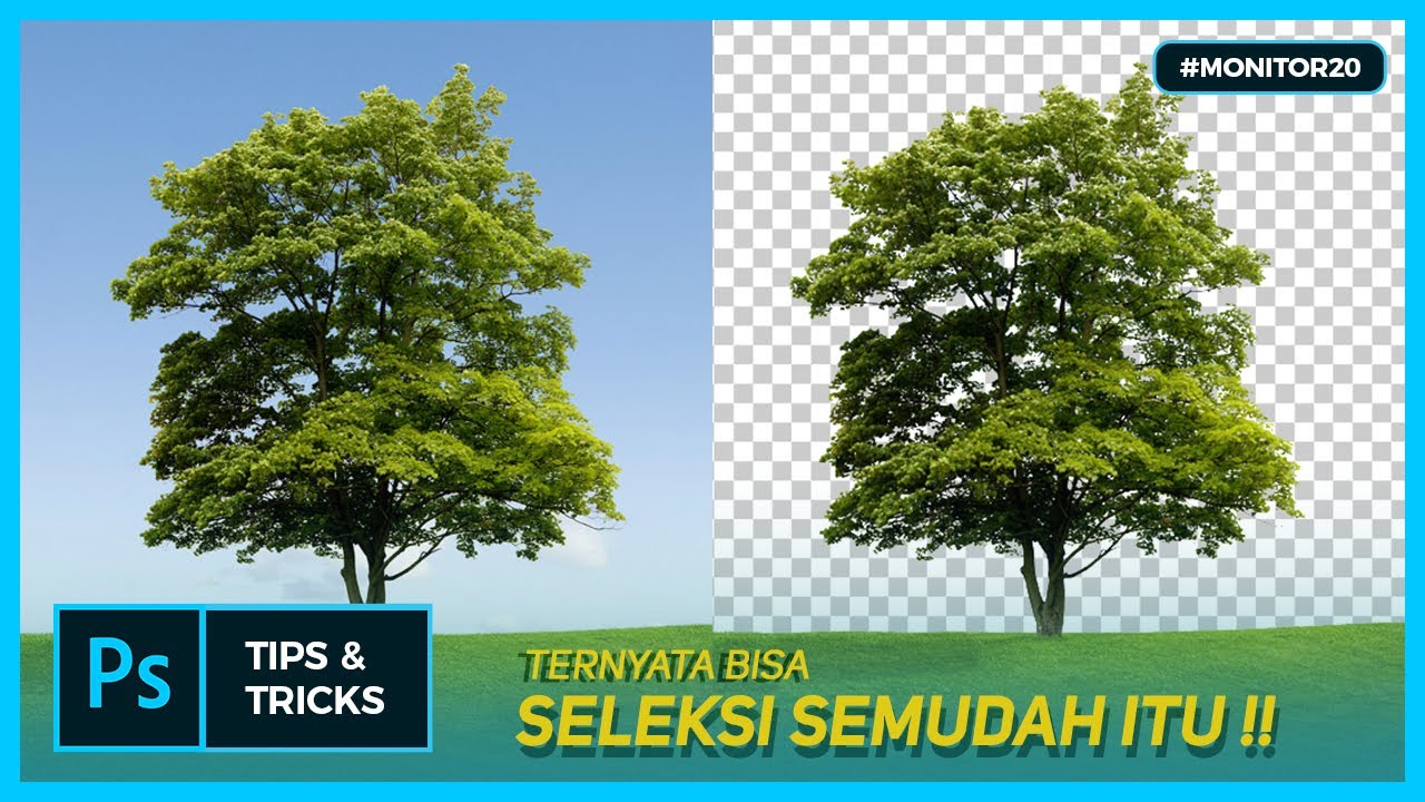 Detail Cara Menyeleksi Gambar Di Photoshop Nomer 9