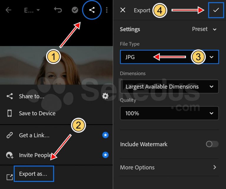 Detail Cara Menyimpan Foto Lightroom Ke Galeri Hp Nomer 24