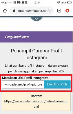 Detail Cara Menyimpan Foto Profil Ig Orang Lain Nomer 2