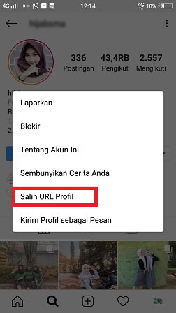 Detail Cara Menyimpan Foto Profil Ig Orang Lain Nomer 3