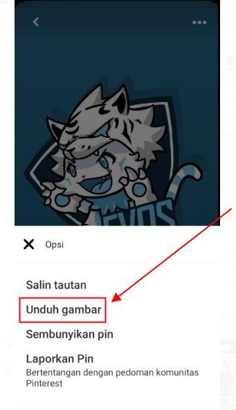 Detail Cara Menyimpan Gambar Dari Pinterest Ke Galeri Nomer 51