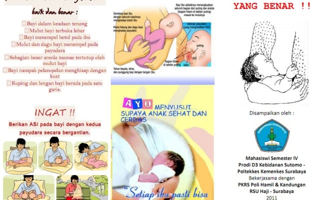 Detail Cara Menyusui Bayi Yang Benar Beserta Gambar Nomer 48