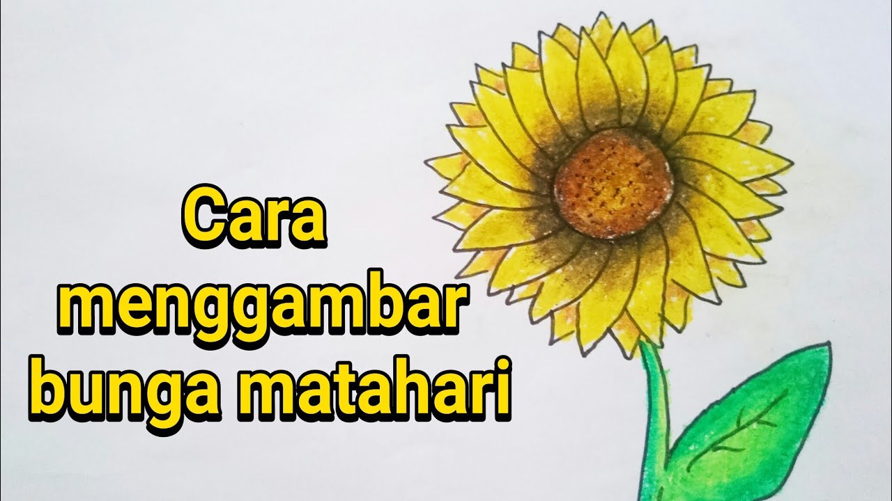 Detail Cara Mewarnai Bunga Matahari Nomer 6