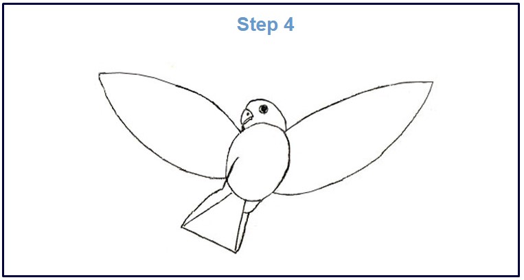 Detail Cara Mewarnai Burung Terbang Nomer 17