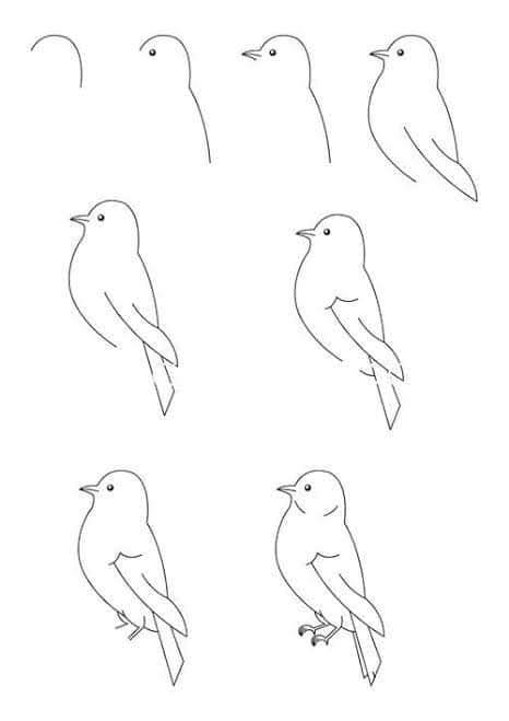 Detail Cara Mewarnai Burung Terbang Nomer 29