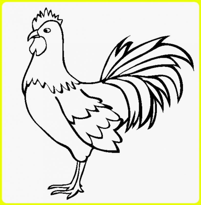 Detail Cara Mewarnai Gambar Ayam Nomer 18