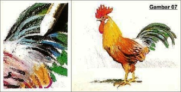 Detail Cara Mewarnai Gambar Ayam Nomer 39