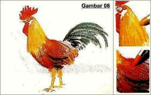 Detail Cara Mewarnai Gambar Ayam Nomer 8