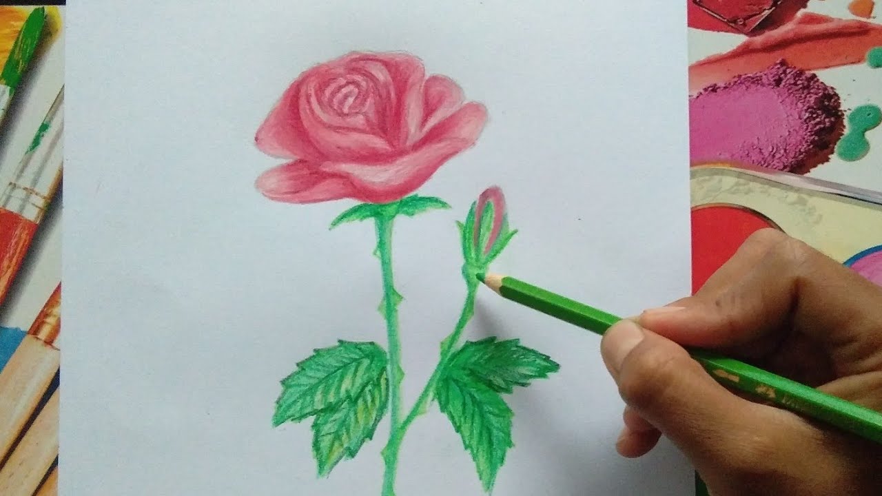 Detail Cara Mewarnai Gambar Bunga Mawar Nomer 10