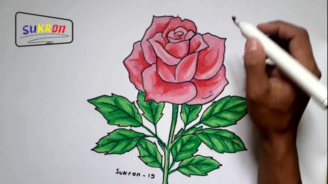 Detail Cara Mewarnai Gambar Bunga Mawar Dengan Crayon Nomer 9