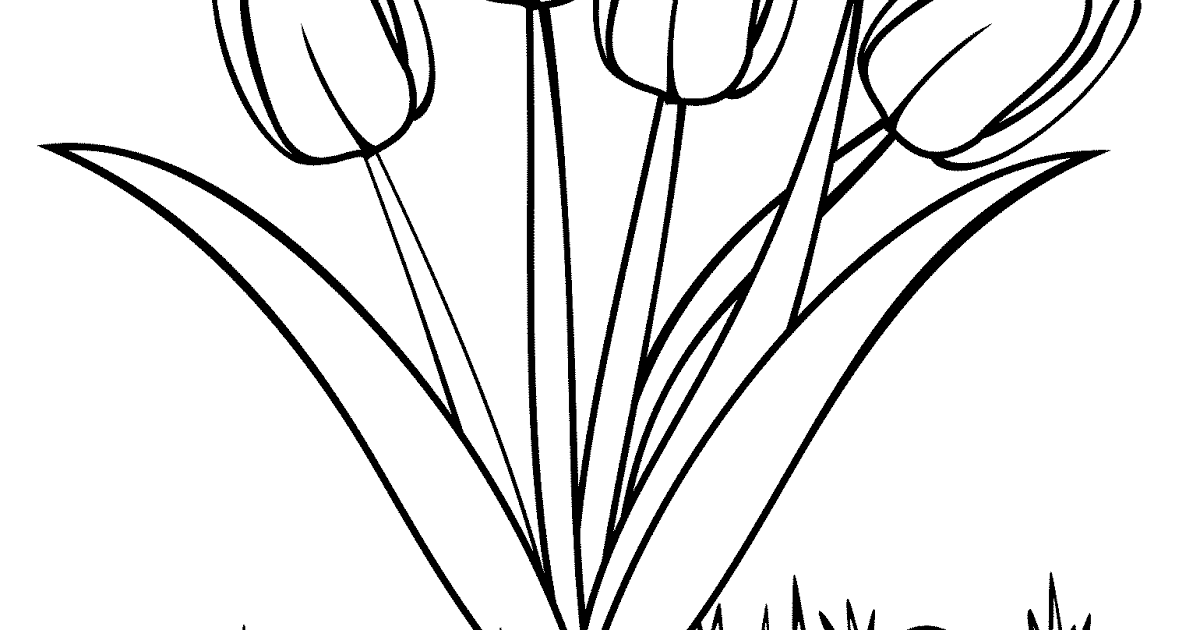 Detail Cara Mudah Menggambar Bunga Tulip Nomer 46