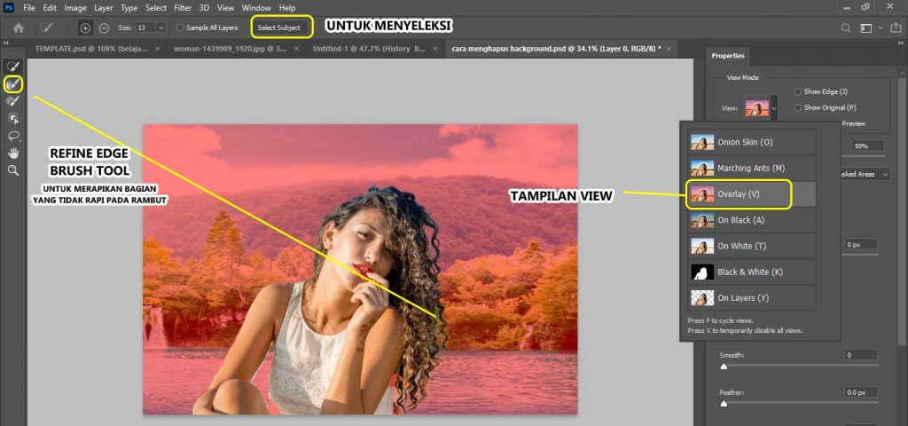 Detail Cara Seleksi Foto Di Photoshop Nomer 19