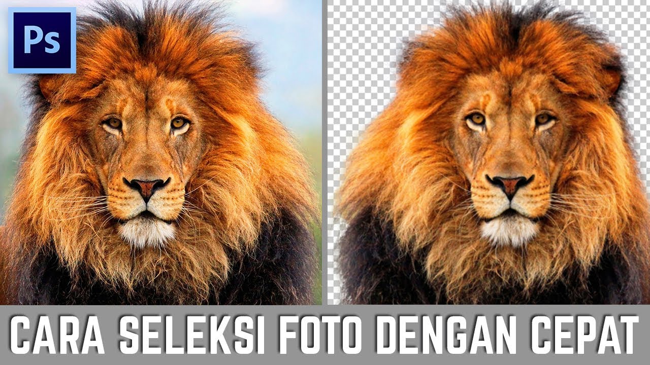 Detail Cara Seleksi Foto Di Photoshop Nomer 28