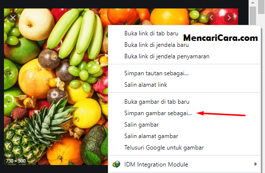 Detail Cara Simpan Foto Dari Google Nomer 30