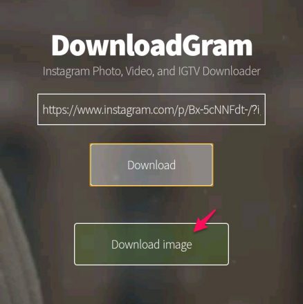 Detail Cara Simpan Foto Profil Ig Nomer 50