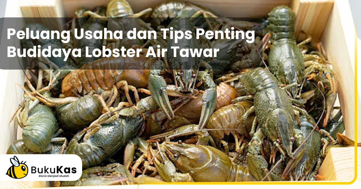 Detail Cara Ternak Lobster Air Tawar Di Rumah Nomer 28