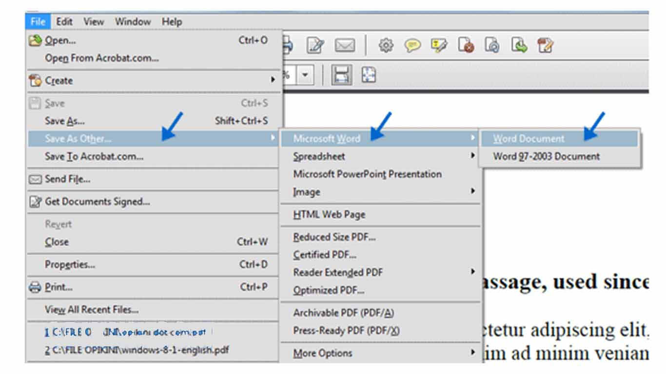 Detail Cara Ubah Foto Ke Word Nomer 22