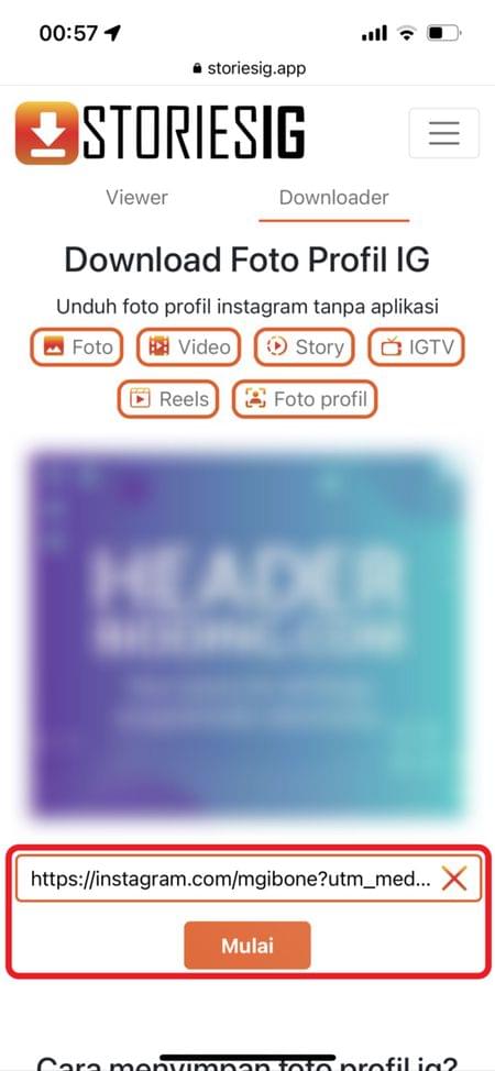 Detail Cara Unduh Foto Profil Di Instagram Nomer 30