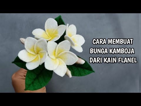 Detail Cara Untuk Menggambar Bunga Kamboja Nomer 52