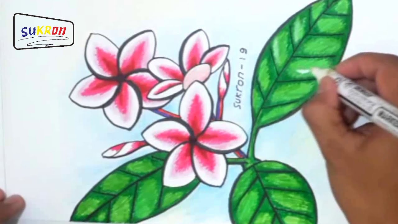 Detail Cara Untuk Menggambar Bunga Kamboja Nomer 9