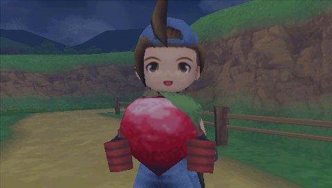 Detail Cara Upgrade Rumah Harvest Moon Nomer 33