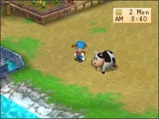 Detail Cara Upgrade Rumah Harvest Moon Back To Nature Nomer 13