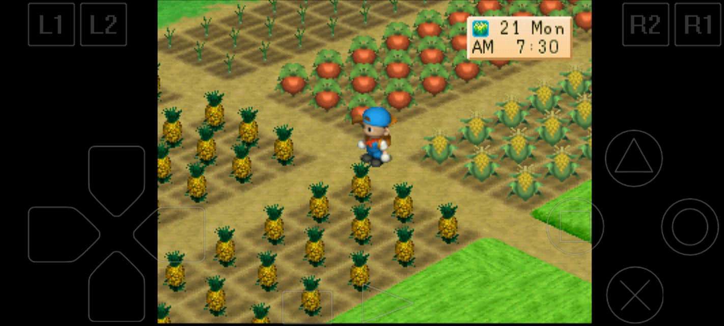 Detail Cara Upgrade Rumah Harvest Moon Back To Nature Nomer 35