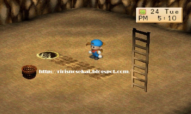 Detail Cara Upgrade Rumah Harvest Moon Back To Nature Nomer 39