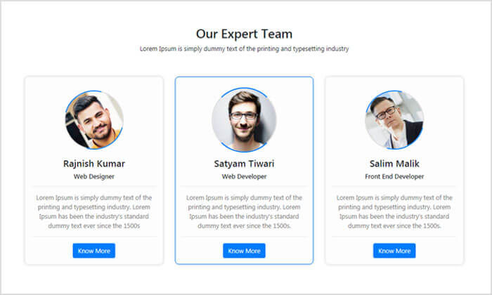 Detail Card Bootstrap Template Nomer 30