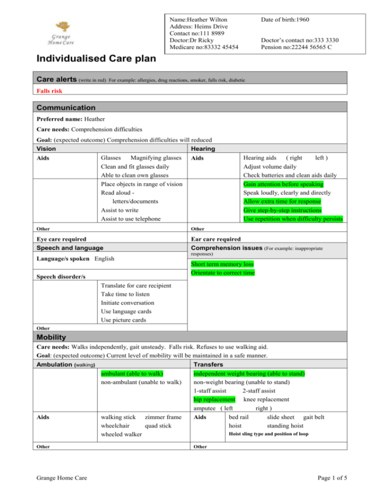 Detail Care Plan Template Nomer 12