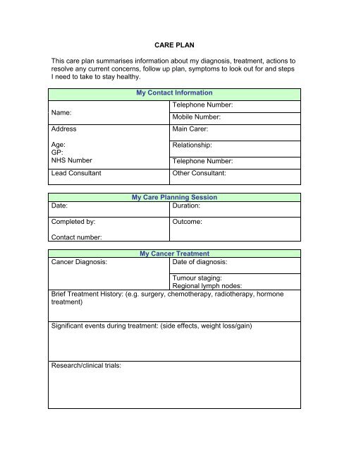 Detail Care Plan Template Nomer 36