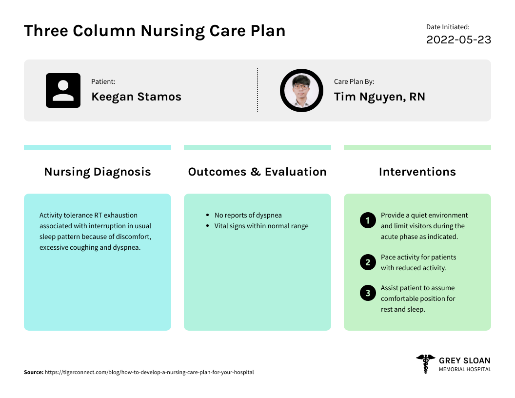 Detail Care Plan Template Nomer 50