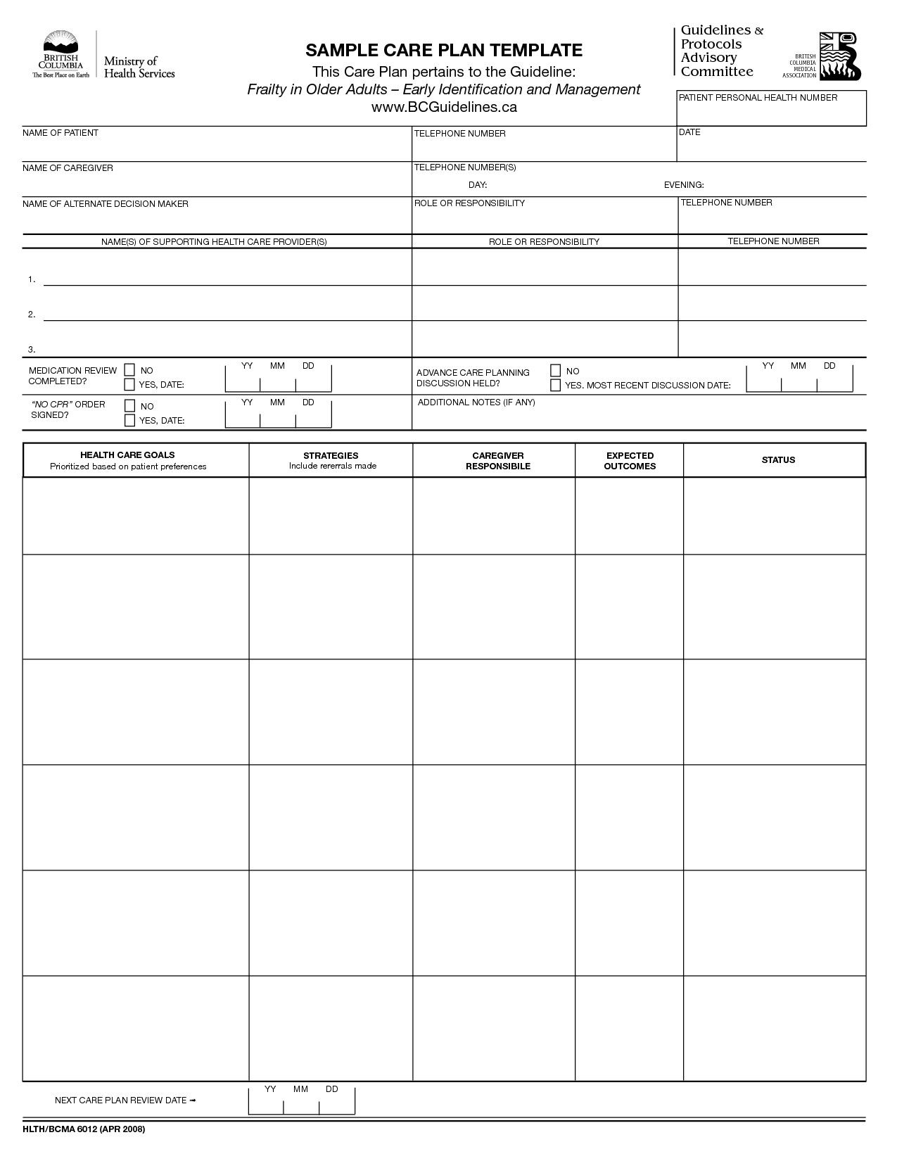 Detail Care Plan Template Nomer 51