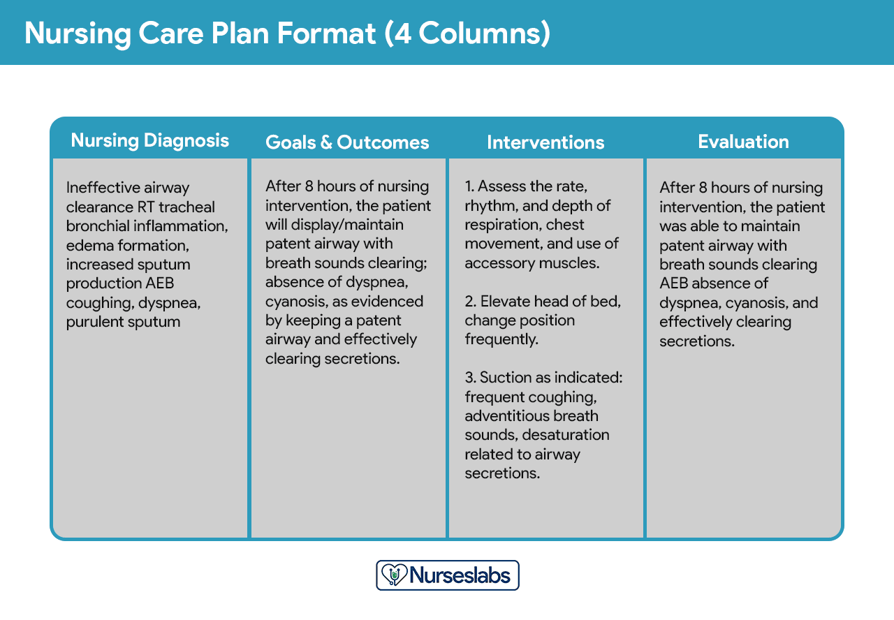 Detail Care Plan Template Nomer 9
