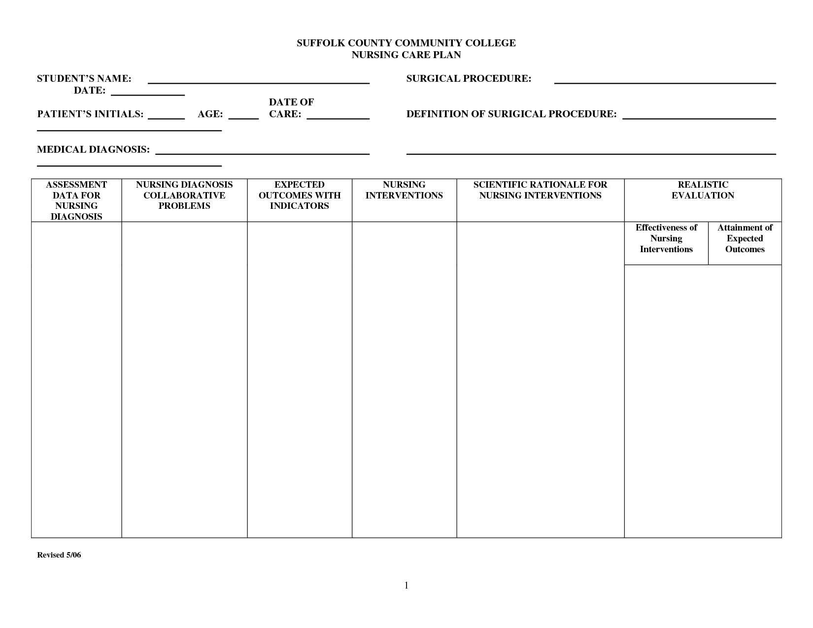 Detail Care Plan Template Nomer 10