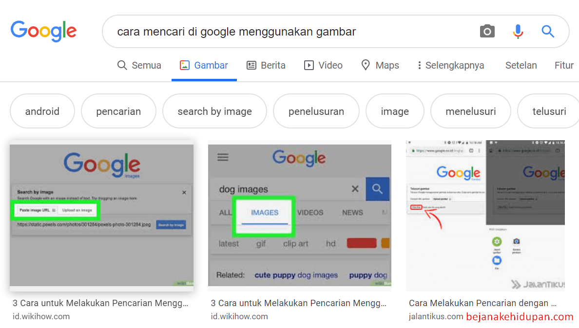 Detail Cari Dengan Gambar Google Nomer 10