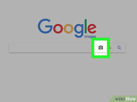 Detail Cari Gambar Google Image Nomer 5