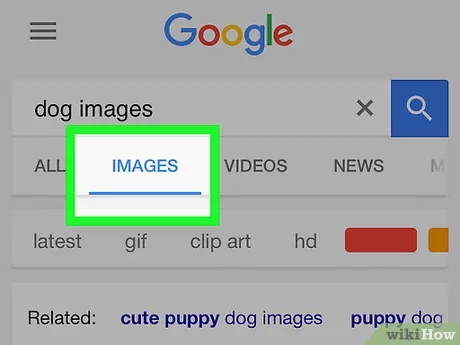 Detail Cari Gambar Google Image Nomer 6